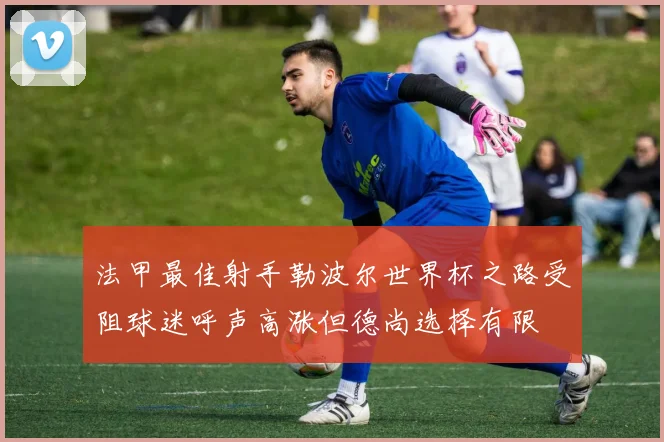法甲最佳射手勒波尔世界杯之路受阻球迷呼声高涨但德尚选择有限